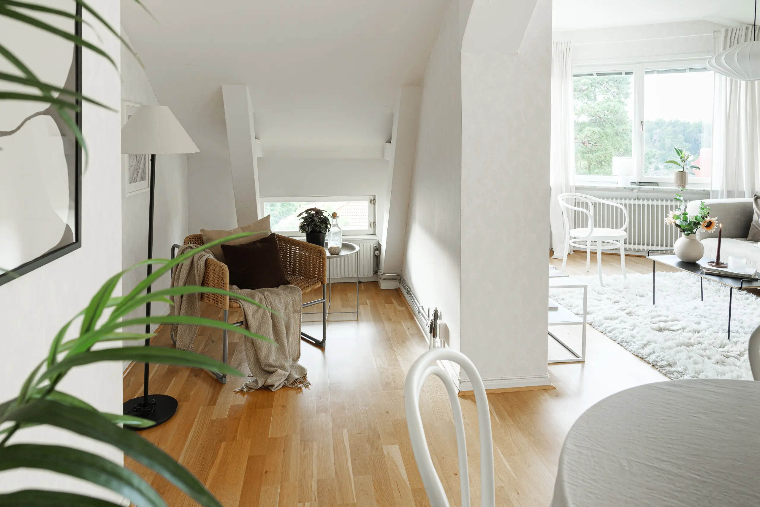 893f51b0-55f9-11ee-95f6-a93658cac657.webp