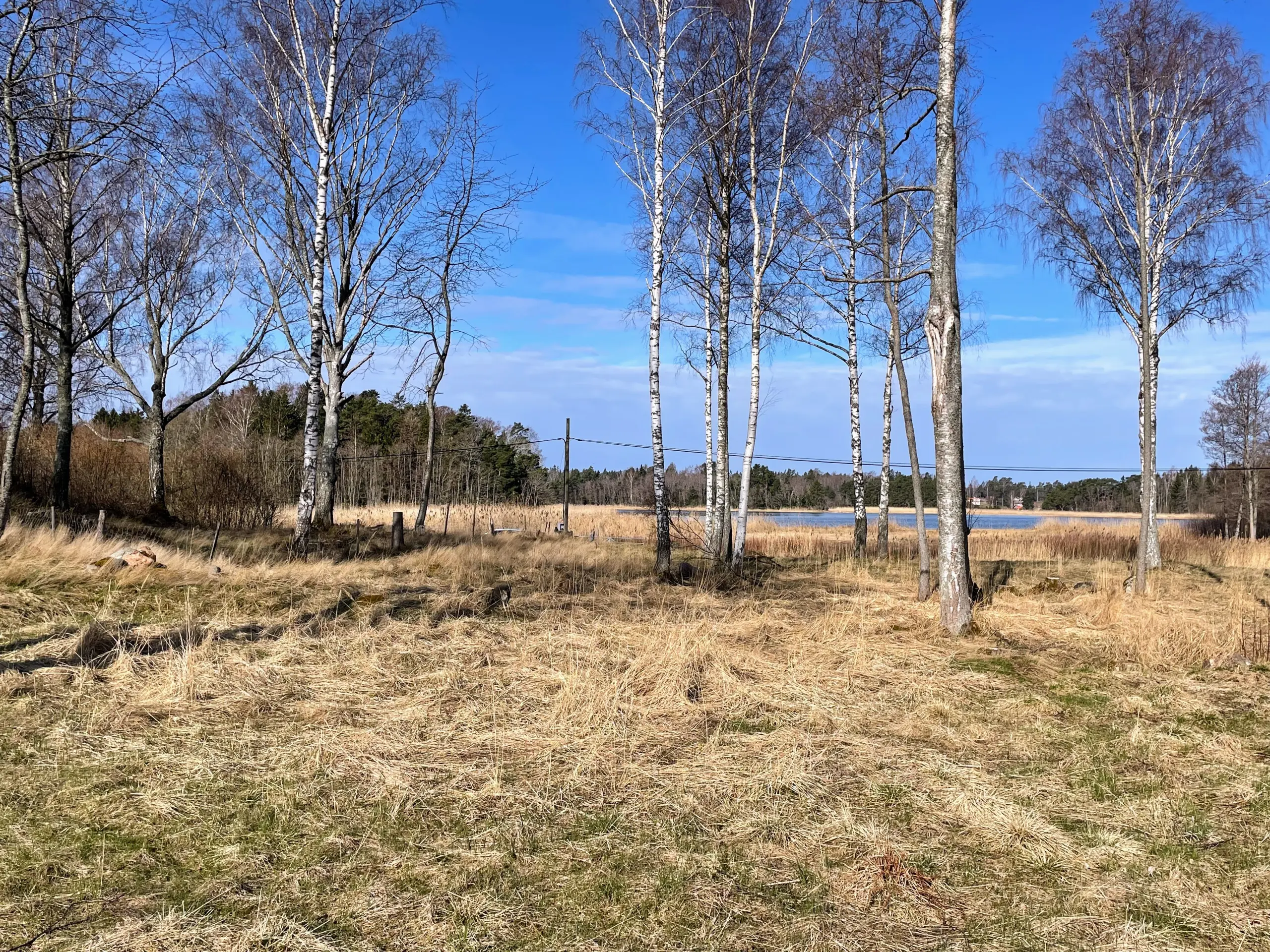 ad02be60-141d-11ef-99f8-635e5780214c.webp