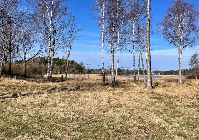 ad02be60-141d-11ef-99f8-635e5780214c.webp