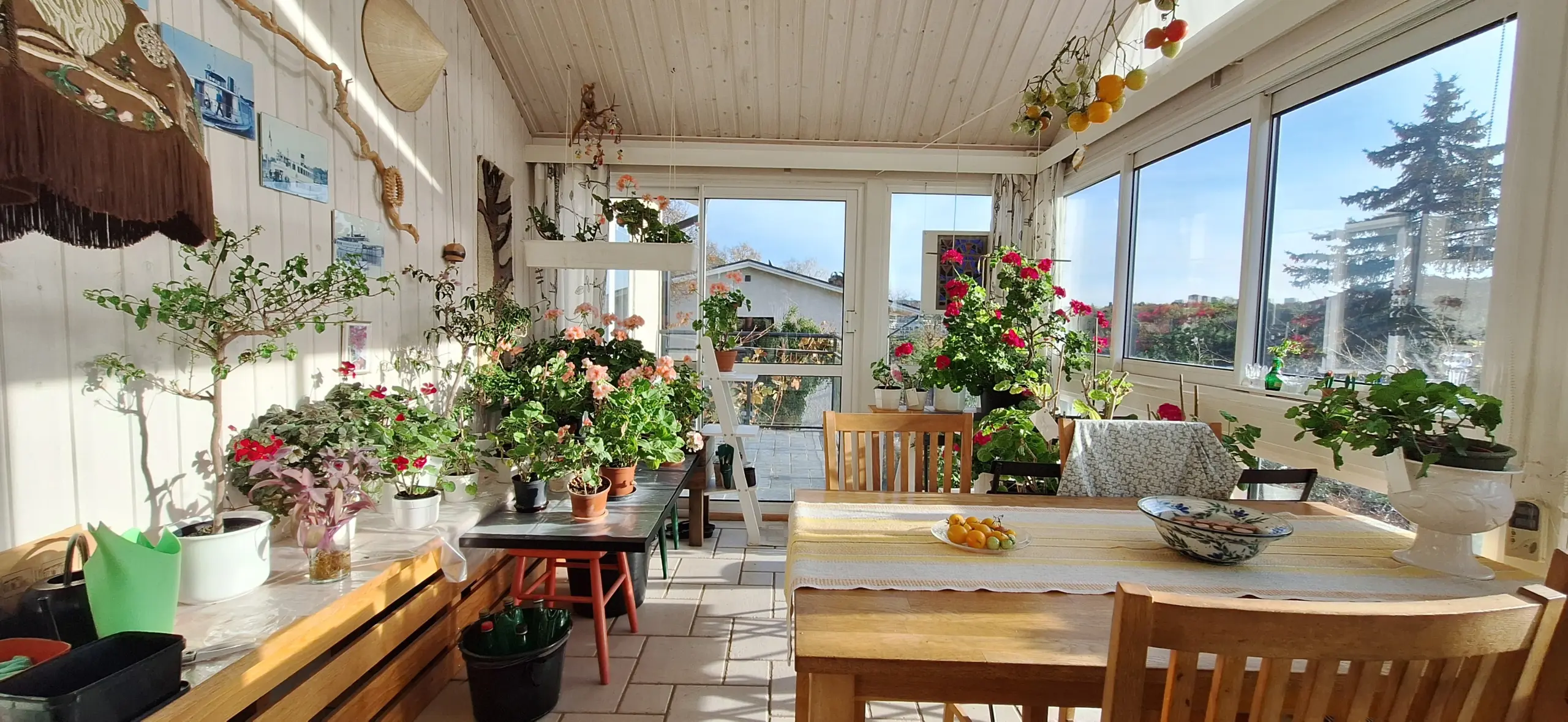 52ca4e30-dceb-11ef-a5b3-ebad2d192940.webp